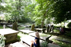 haworth comparison image graveyard 2 sm.jpg